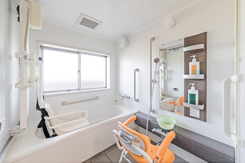 Elderly Bathing Accessibility detail